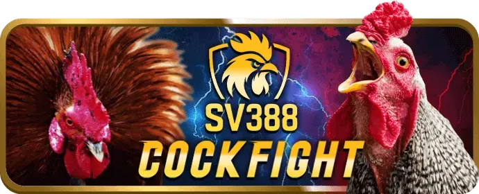 Cá cược tennis mmwin casino